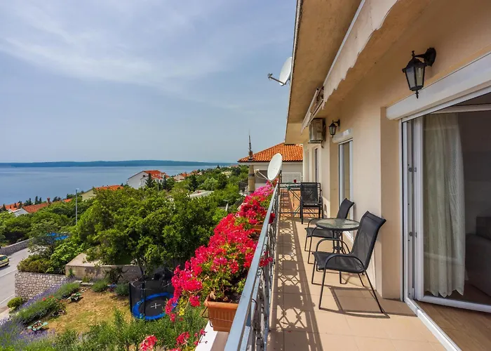 Tijana Нови-Винодолски