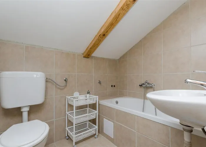 Tijana Нови-Винодолски